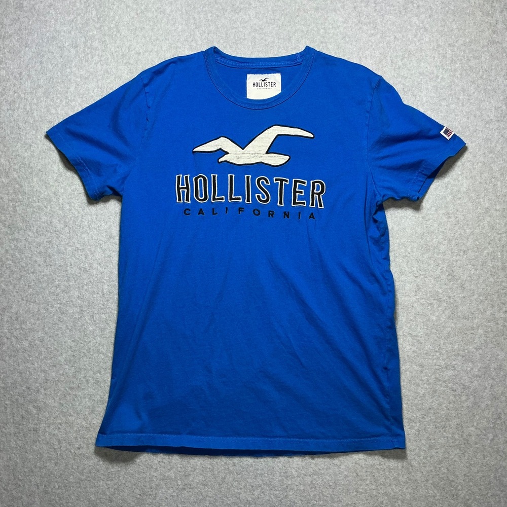 Hollister California Mens Blue Graphic Tee Seagull Logo T-Shirt Large